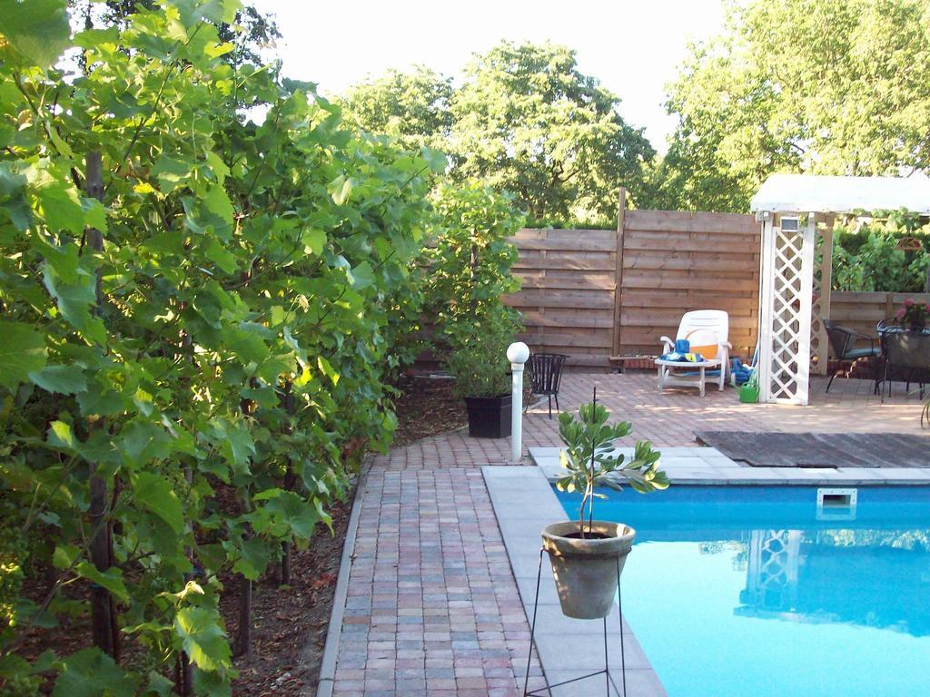 Bed&Breakfast Engelen Holland Stevensweert Oda fotoğraf