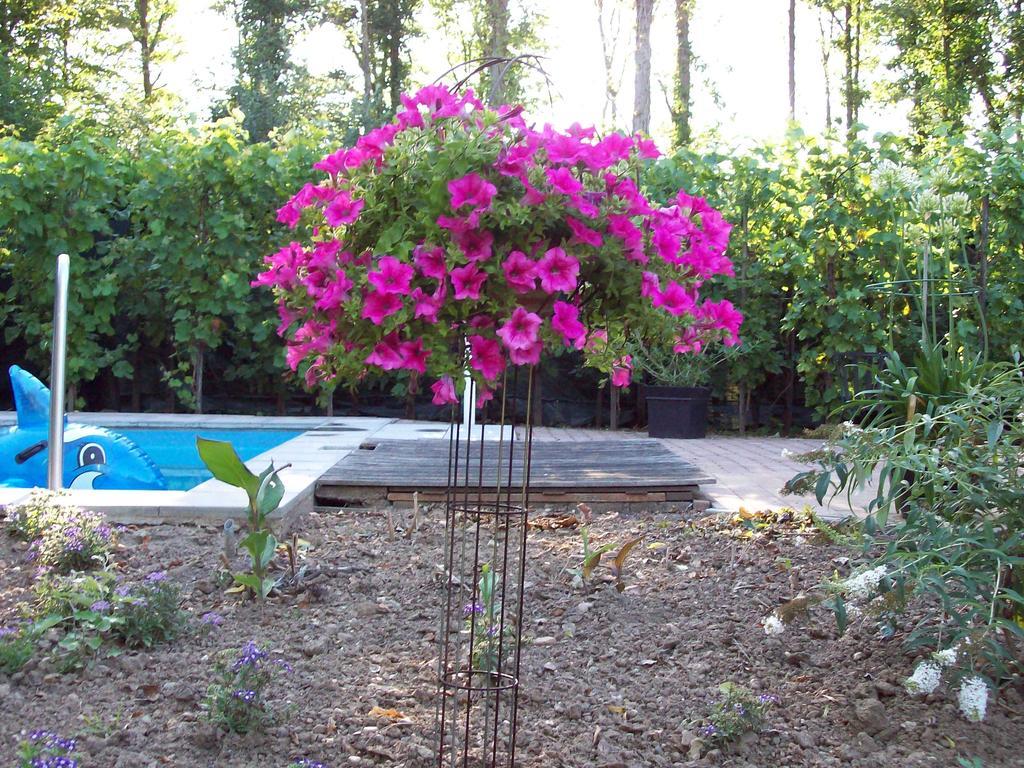 Bed&Breakfast Engelen Holland Stevensweert Oda fotoğraf